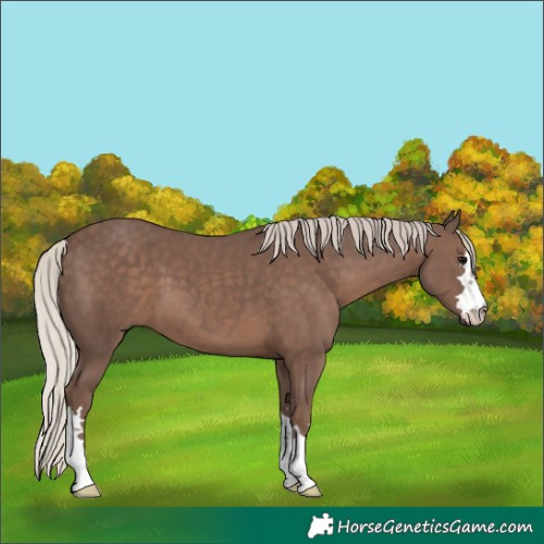 Horse Color:Silver Black 