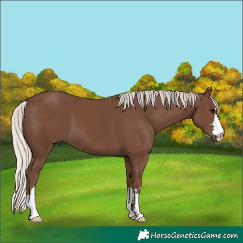 Horse Color:Silver Black 