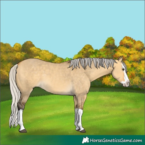 Horse Color:Silver Buckskin Dun Splash 