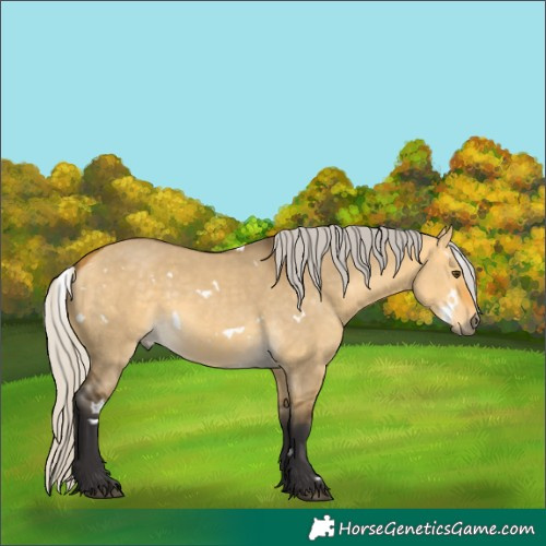 Horse Color:White Spotted Silver Buckskin Dun 