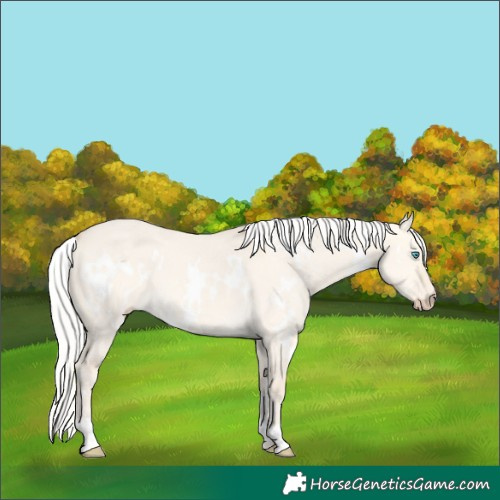 Horse Color:White Spotted Silver Perlino Dun 
