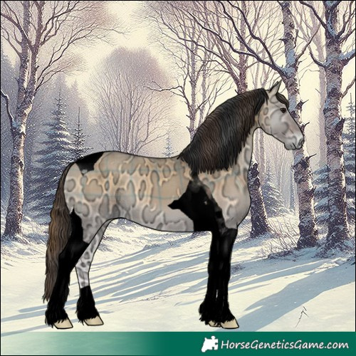 Horse Color:Void Plaid Brown Ice Onyx Tobiano