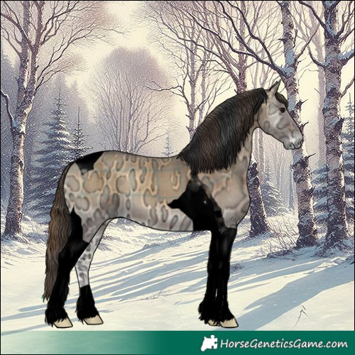 Horse Color:Void Plaid  Brown Ice Onyx Tobiano 