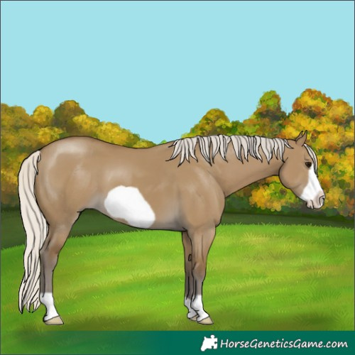 Horse Color:Silver Smoky Grullo Frame 