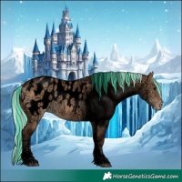 Horse Color:Void Painted Silver Bay Ice Dun Tobiano Appaloosa 