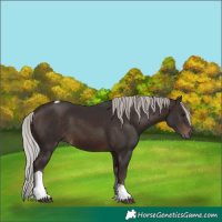 Horse Color:Silver Brown Tobiano