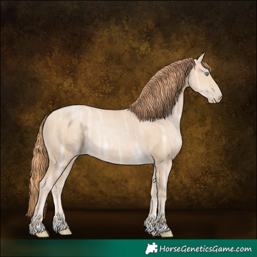 Horse Color:Buckskin Ice Pearl Rabicano 