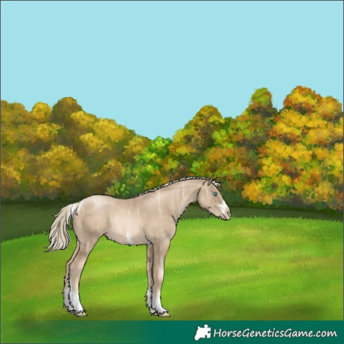 Horse Color:Chocolate Palomino Ice Pearl Mushroom Sabino Tobiano Rabicano 