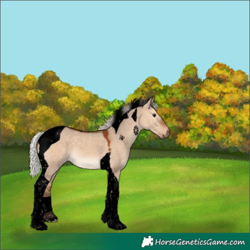 Horse Color:Void Silver Brown Dun Tobiano 
