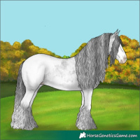 Horse Color:White Spotted Black Splash Snowcap 