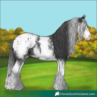 Horse Color:White Spotted Black Splash Blanket 