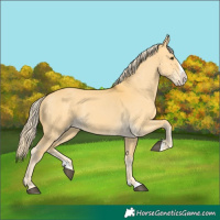 Horse Color:Palomino Dun Splash