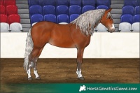 Horse Color:Silver Bay