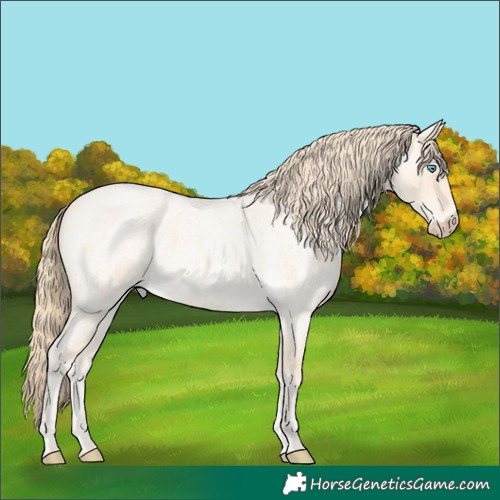 Horse Color:Perlino Roan