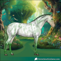 Horse Color:Watercolor Buckskin Roan Appaloosa 