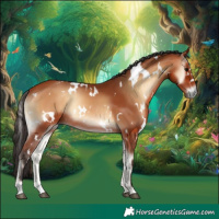 Horse Color:White Spotted Bay Onyx Rabicano 
