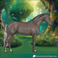 Horse Color:Silver Black 