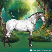 Horse Color:Smoky Grullo Near Leopard Rabicano 