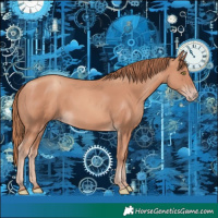 Horse Color:Gold Champagne 