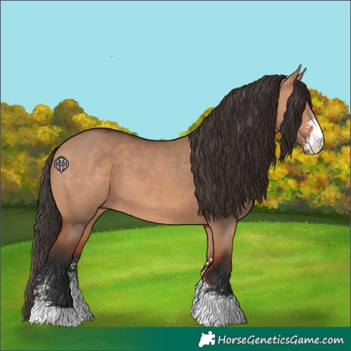 Horse Color:Bay Dun Sabino 