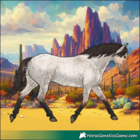 Horse Color:Bay Roan Dun 