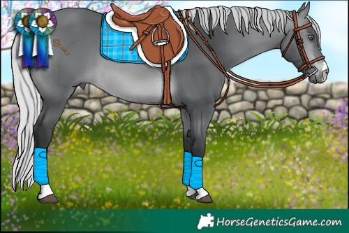 Horse Color:Silver Brown Chinchilla 
