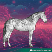 Horse Color:Gray White Spotted Black and Gray White Spotted Black