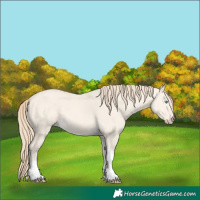 Horse Color:Perlino Dun Tobiano 
