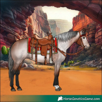 Horse Color:Gray Bay