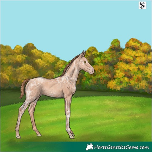 Horse Color:Gold Champagne Ice 
