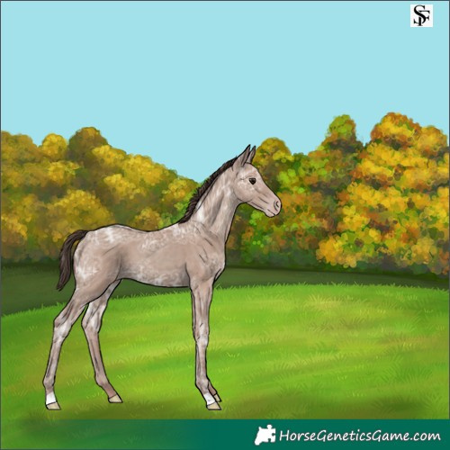 Horse Color:Classic Champagne Ice 
