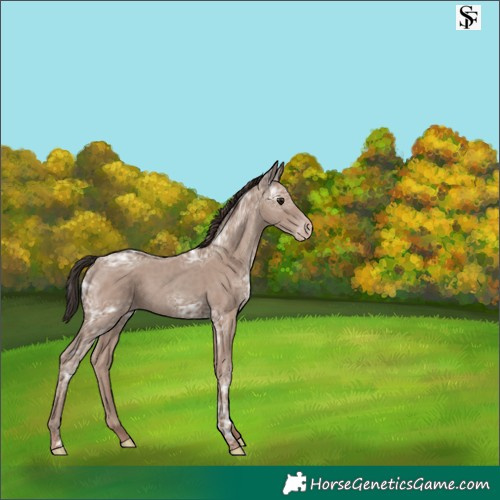 Horse Color:Classic Champagne Ice 