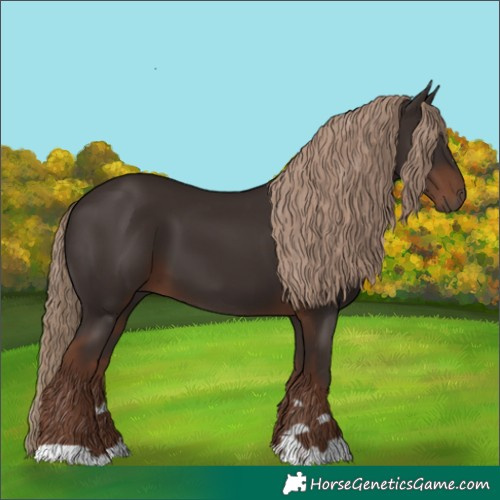 Horse Color:Liver Chestnut