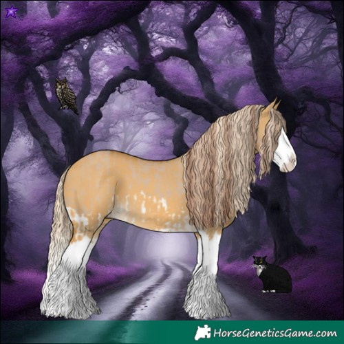 Horse Color:Red Dun Splash and Palomino Dun Splash