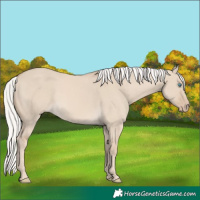 Horse Color:Silver Smoky Creme Dun