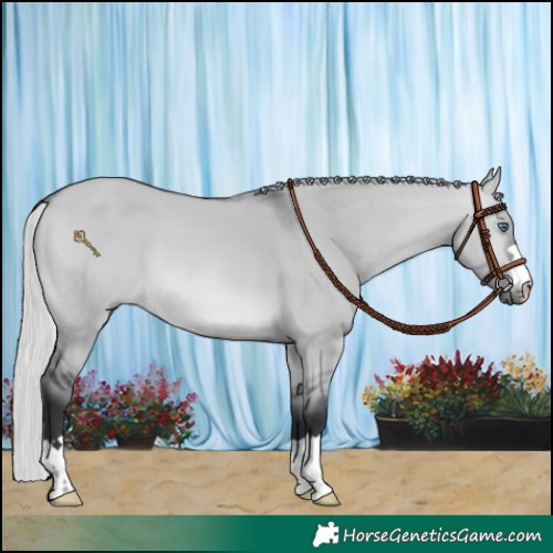 Horse Color:Silver Brown Chinchilla Dun 