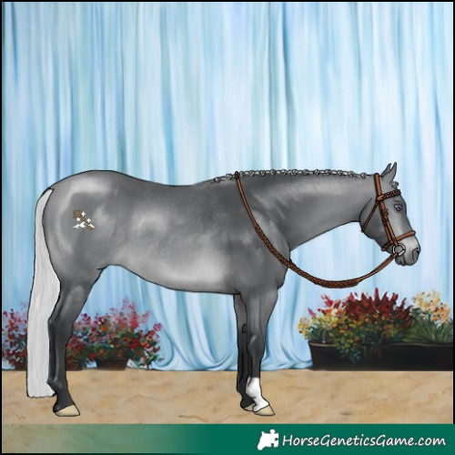 Horse Color:Silver Brown Chinchilla Rabicano 