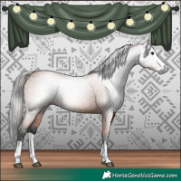 Horse Color:Gray Bay Splash 