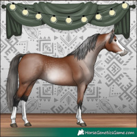 Horse Color:Gray Bay Splash 