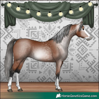 Horse Color:Gray Bay Splash