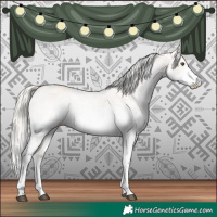 Horse Color:White Spotted Silver Bay Dun Rabicano