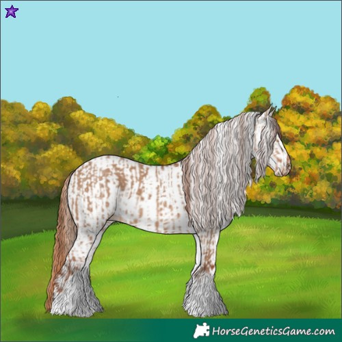 Horse Color:White Spotted Red Dun Rabicano  and White Spotted Gold Champagne Dun Rabicano 