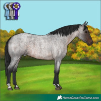 Horse Color:Brown Roan 