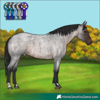 Horse Color:Brown Roan 