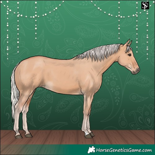 Horse Color:Silver Brown Dun 