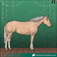 Horse Color:Silver Brown Dun 