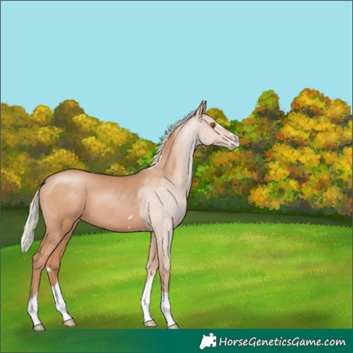 Horse Color:Silver Black Pearl 