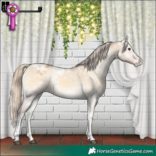 Horse Color:White Spotted Palomino Ice Onyx Tobiano Varnish Rabicano 