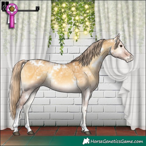 Horse Color:White Spotted Palomino Ice Onyx Tobiano Appaloosa Rabicano 