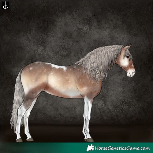 Horse Color:Silver Brown Onyx Tobiano Appaloosa Rabicano